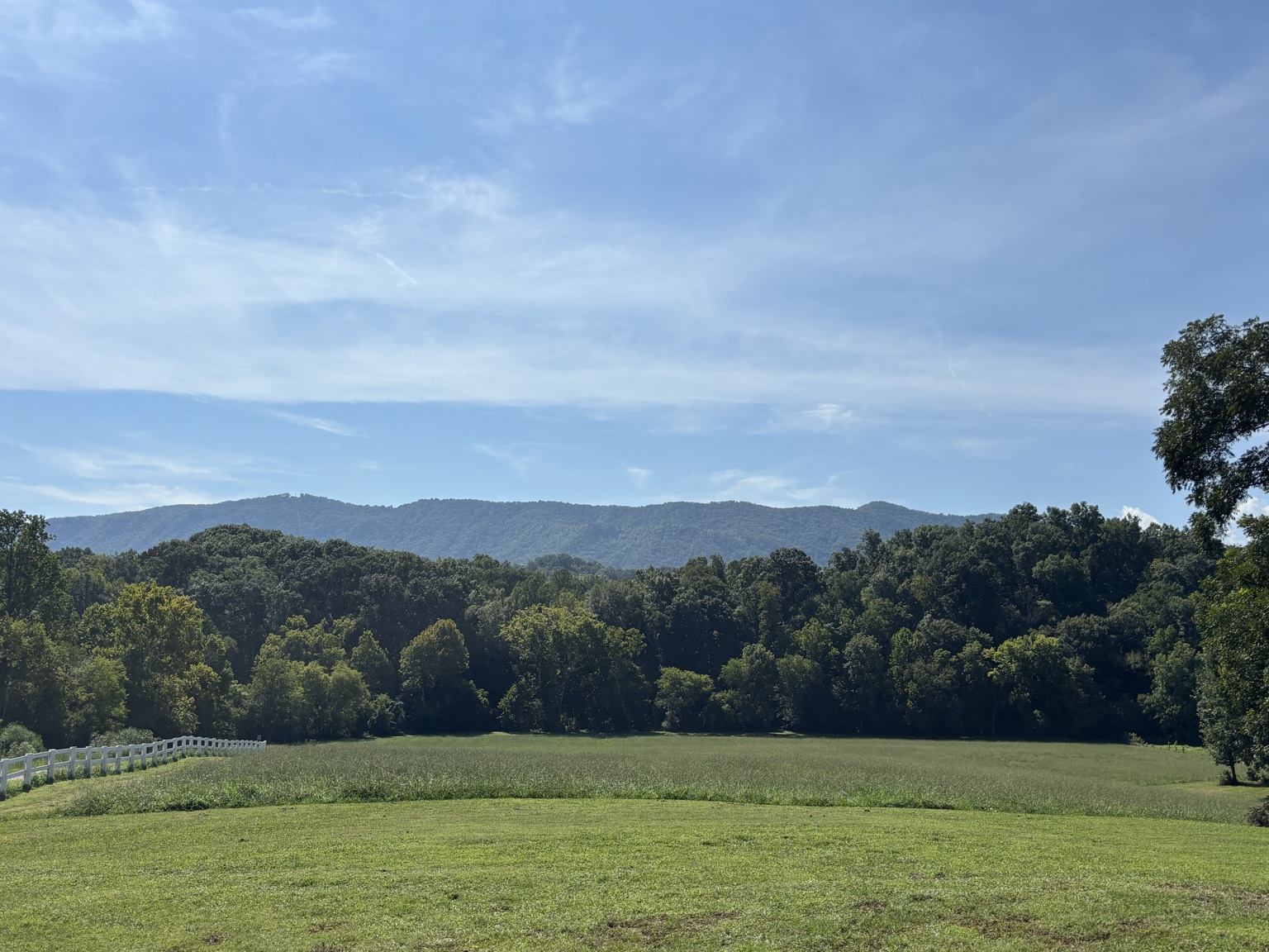 A wide green field beneath a bright blue sky and Smoky Mountain ridge