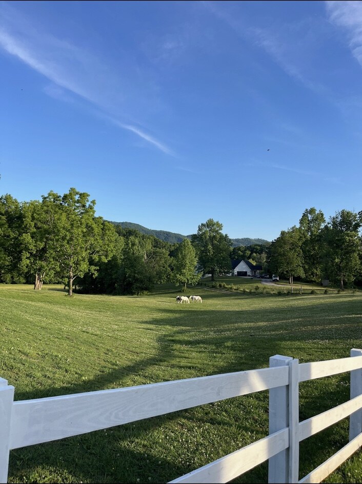 Open pasture, horses, and the family farmhouse at Sterling Hills