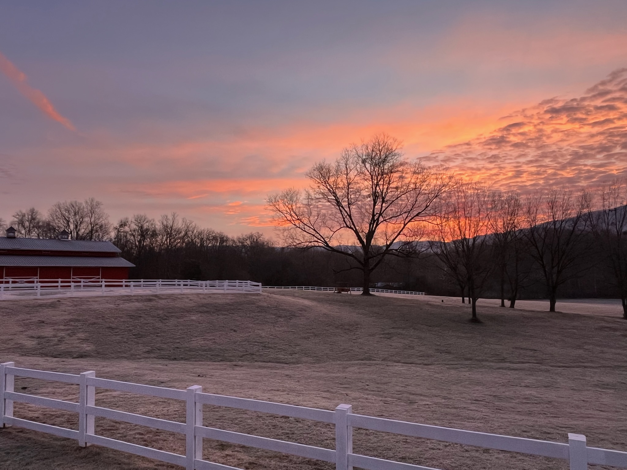 Pink sunset over the barn, pasture, and white fences